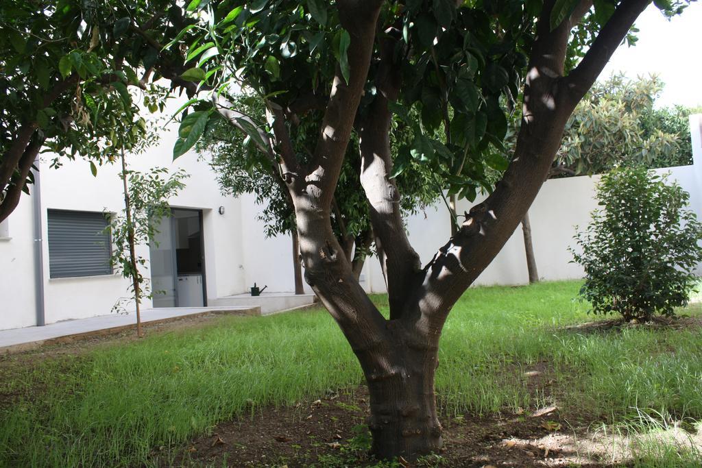 פלמה דה מיורקה Residencia Mayol - Adults Only חדר תמונה